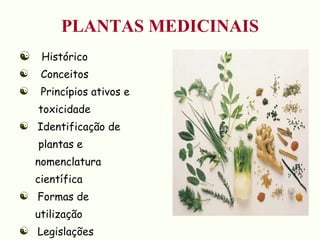 PLANTAS MEDICINAIS Histórico Conceitos Princípios ativos e  toxicidade Identificação de  plantas e  nomenclatura  científica Formas de  utilização  Legislações  