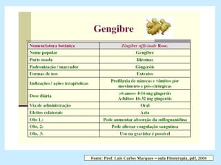 Fonte: Prof. Luis Carlos Marques – aula Fitoterapia, pdf, 2009 