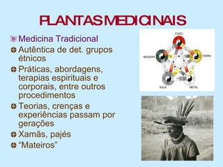 PLANTAS MEDICINAIS Medicina Tradicional Autêntica de det. grupos étnicos Práticas, abordagens, terapias espirituais e corporais, entre outros procedimentos Teorias, crenças e experiências passam por gerações Xamãs, pajés  “ Mateiros” 