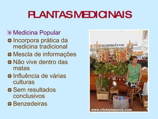PLANTAS MEDICINAIS Medicina Popular Incorpora prática da medicina tradicional Mescla de informações Não vive dentro das matas Influência de várias culturas Sem resultados conclusivos Benzedeiras 