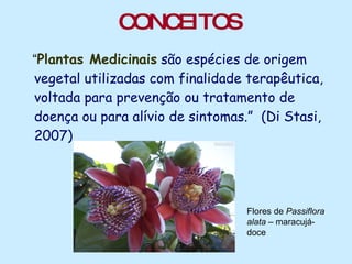CONCEITOS “ Plantas Medicinais  são espécies de origem vegetal utilizadas com finalidade terapêutica, voltada para prevenção ou tratamento de doença ou para alívio de sintomas.”  (Di Stasi, 2007) Flores de  Passiflora alata  – maracujá-doce 