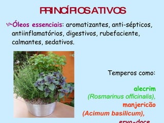 PRINCÍPIOS ATIVOS Óleos essenciais : aromatizantes, anti-sépticos, antiinflamatórios, digestivos, rubefaciente,  calmantes, sedativos. Temperos como:  alecrim (Rosmarinus officinalis), manjericão (Acimum basilicum),   erva-doce,  salsinha,  sálvia. 