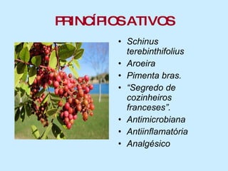 PRINCÍPIOS ATIVOS Schinus terebinthifolius Aroeira Pimenta bras. “ Segredo de cozinheiros franceses”. Antimicrobiana Antiinflamatória Analgésico 
