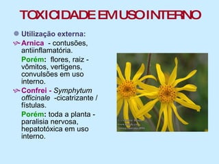 TOXICIDADE EM USO INTERNO Utilização externa: Arnica  - contusões, antiinflamatória. Porém :   flores, raiz -  vômitos, vertigens, convulsões em uso interno. Confrei -  Symphytum   officinale   -cicatrizante / fístulas. Porém :  toda a planta -  paralisia nervosa,  hepatotóxica em uso interno. 