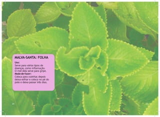 Uso:
Serve para vários tipos de
doenças, como inflamação.
O mel dela serve para gripe.
Modo-de-fazer:
Coloca para cozinhar
, depois
deixa esfriar e coloca no pé do
pote e deixa passar três dias.
24 25
MALVA-SANTA: FOLHA
 
