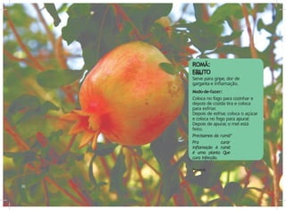 Usos:
Serve para gripe, dor de
garganta e inflamação.
Modo-de-fazer:
Coloca no fogo para cozinhar e
depois de cozida tira e coloca
para esfriar.
Depois de esfriar
, coloca o açúcar
e coloca no fogo para apurar
.
Depois de apurar
, o mel está
feito.
Precisamos da rumã*
Pra curar
inflamação A rumã
é uma planta Que
cura infecção.
(*) romã
30 31
ROMÃ:
FRUTO
 