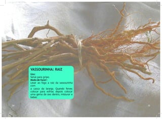 VASSOURINHA: RAIZ
Uso:
Serve para gripe.
Modo-de-fazer:
Levar ao fogo a raiz da vassourinha
com
a casca da laranja. Quando ferver
,
colocar para esfriar
, depois colocar
uma gema de ovo dentro, misturar e
beber
.
34 35
 