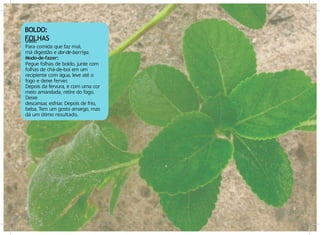 Usos:
Para comida que faz mal,
má digestão e dor-de-barriga.
Modo-de-fazer:
Pegue folhas de boldo, junte com
folhas de chá-de-boi em um
recipiente com água, leve até o
fogo e deixe ferver.
Depois da fervura, e com uma cor
meio amarelada, retire do fogo.
Deixe
descansar
, esfriar
. Depois de frio,
beba. Tem um gosto amargo, mas
dá um ótimo resultado.
8 9
BOLDO:
FOLHAS
 