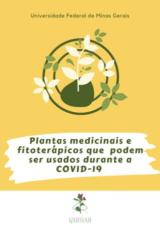 Plantas medicinais e
fitoterápicos que podem
ser usados durante a
COVID-19
Universidade Federal de Minas Gerais
 