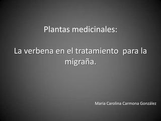 Plantas medicinales:La verbena en el tratamiento  para la migraña. Maria Carolina Carmona González 