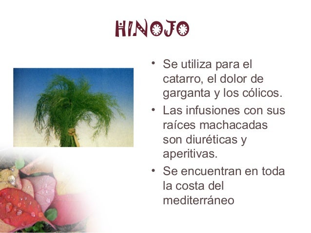 Plantas Medicinales