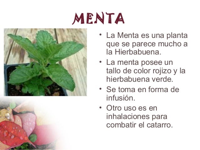 El aceite del melocotón de la propiedad y la aplicación para los cabellos