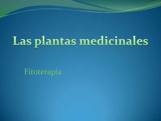 Las plantas medicinales Fitoterapia 