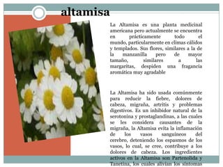 Plantas medicinales | PPTX