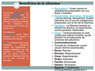 Plantas medicinales | PPTX