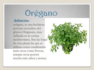 definición:
orégano, es una herbácea
perenne aromática del
género Origanum, muy
utilizada en la cocina
mediterránea. Son las hojas
de esta planta las que se
utilizan como condimento
tanto secas como frescas,
aunque secas poseen
mucho más sabor y aroma.
 