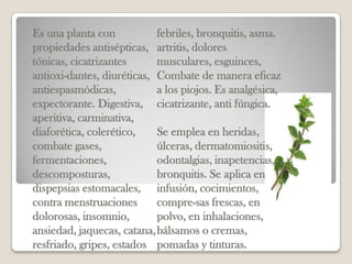 Es una planta con           febriles, bronquitis, asma.
propiedades antisépticas, artritis, dolores
tónicas, cicatrizantes      musculares, esguinces,
antioxi-dantes, diuréticas, Combate de manera eficaz
antiespasmódicas,           a los piojos. Es analgésica,
expectorante. Digestiva, cicatrizante, anti fúngica.
aperitiva, carminativa,
diaforética, colerético,    Se emplea en heridas,
combate gases,              úlceras, dermatomiositis,
fermentaciones,             odontalgias, inapetencias,
descomposturas,             bronquitis. Se aplica en
dispepsias estomacales, infusión, cocimientos,
contra menstruaciones       compre-sas frescas, en
dolorosas, insomnio,        polvo, en inhalaciones,
ansiedad, jaquecas, catana, bálsamos o cremas,
resfriado, gripes, estados pomadas y tinturas.
 