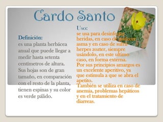 Uso:
                           se usa para desinfectar
Definición:                heridas, en caso de padecer
es una planta herbácea     asma y en caso de sufrir
anual que puede llegar a herpes zozter, siempre
                           usándolo, en este ultimo
medir hasta setenta        caso, en forma externa.
centímetros de altura.     Por sus principios amargos es
Sus hojas son de gran      un excelente aperitivo, ya
tamaño, en comparación que estimula a que se abra el
                           apetito.
con el resto de la planta, También se utiliza en caso de
tienen espinas y su color anemia, problemas hepáticos
es verde pálido.           y en el tratamiento de
                           diarreas.
 