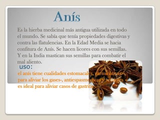 Es la hierba medicinal más antigua utilizada en todo
el mundo. Se sabía que tenía propiedades digestivas y
contra las flatulencias. En la Edad Media se hacia
confitura de Anís. Se hacen licores con sus semillas.
Y en la India mastican sus semillas para combatir el
mal aliento.
uso:
el anís tiene cualidades estomacales, carminativas –
para aliviar los gases-, antiespasmódicas y sedantes –
es ideal para aliviar casos de gastritis-.
 