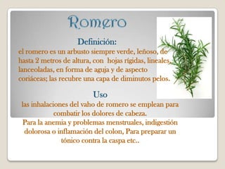 Definición:
el romero es un arbusto siempre verde, leñoso, de
hasta 2 metros de altura, con hojas rígidas, lineales,
lanceoladas, en forma de aguja y de aspecto
coriáceas; las recubre una capa de diminutos pelos.

                          Uso
 las inhalaciones del vaho de romero se emplean para
             combatir los dolores de cabeza.
  Para la anemia y problemas menstruales, indigestión
  dolorosa o inflamación del colon, Para preparar un
               tónico contra la caspa etc..
 
