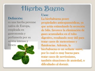 Usos:
Definición:             La hierbabuena posee
es una hierba perenne   propiedades antiespasmódicas, ya
nativa de Europa,       que actúa estimulando la secreción
empleada en             de bilis. favorece la eliminación de
gastronomía y           gases acumulados en el tubo
perfumería por su       digestivo, resultando muy útil para
aroma intenso y         tratar casos de meteorismo y
fresco.                 flatulencias. Además, la
                        hierbabuena es un sedante suave,
                        por lo cual es muy buena para
                        tratar casos de nerviosismo,
                        también situaciones de ansiedad, o
                        dificultades al dormir.
 