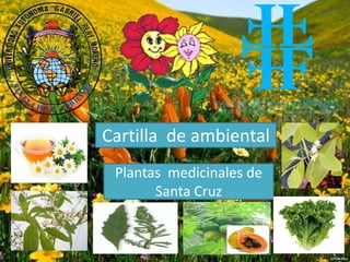 Cartilla de ambiental
 Plantas medicinales de
       Santa Cruz
 