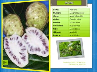 PLANTAS MEDICINALES Y ALIMENTICIAS | PPTX