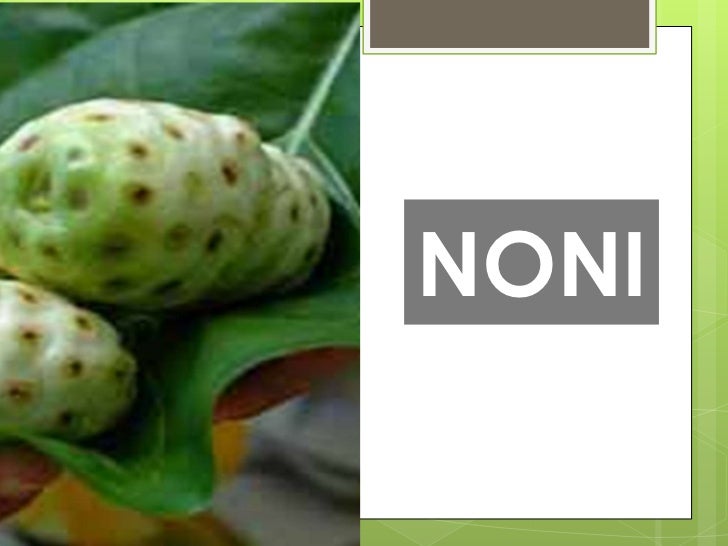 Plantas Medicinales Y Alimenticias