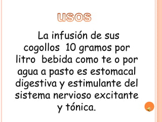 La infusión de sus
   cogollos 10 gramos por
litro bebida como te o por
 agua a pasto es estomacal
digestiva y estimulante del
sistema nervioso excitante
           y tónica.
 