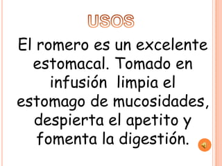 El romero es un excelente
  estomacal. Tomado en
     infusión limpia el
estomago de mucosidades,
  despierta el apetito y
   fomenta la digestión.
 