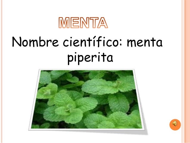 Plantas medicinales