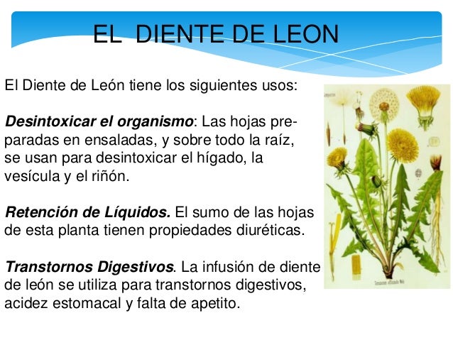 Plantas Medicinales