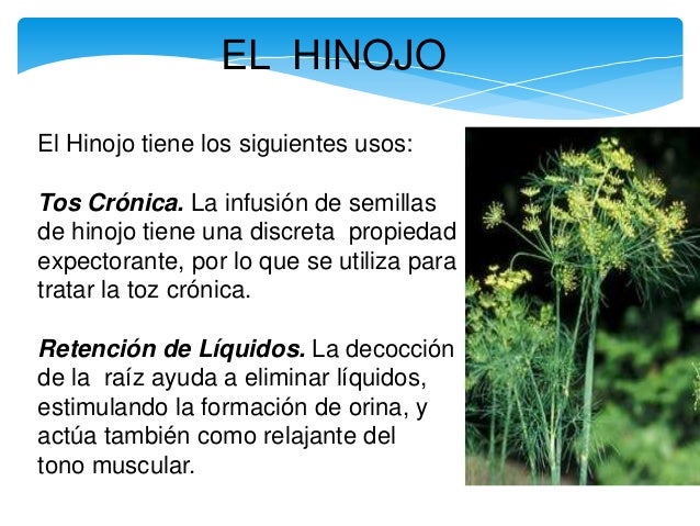 Plantas Medicinales