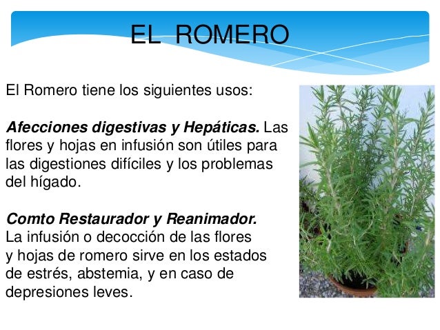 Plantas Medicinales