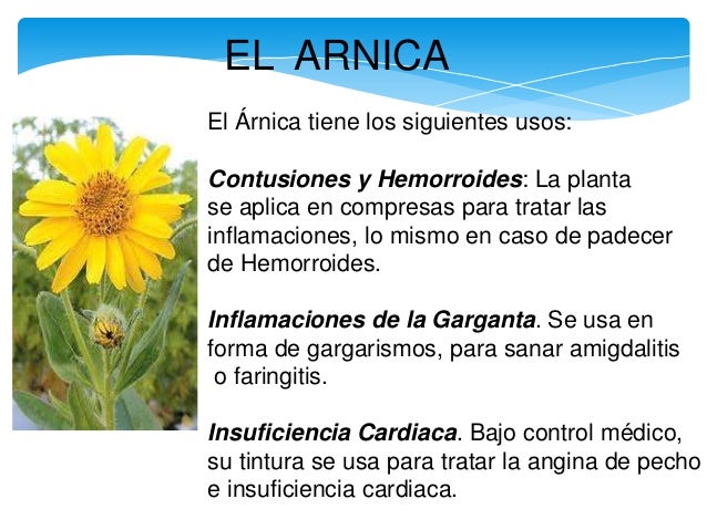 Plantas Medicinales