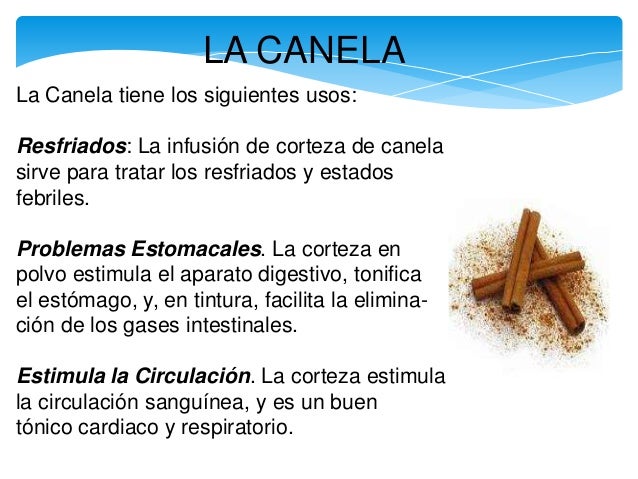 Tu Carro Com >> Canela propiedades medicinales Tu Carro Com >> Canela propiedades medicinales