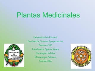 Plantas Medicinales 
Universidad de Panamá 
Facultad de Ciencias Agropecuarias 
Botánica 106 
Estudiantes: Aguirre Karen 
Domínguez Adaluz 
Montenegro Adrianis 
Morales Ilka 
 