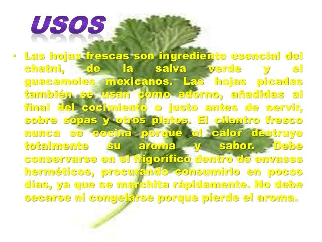Plantas medicinales Plantas medicinales