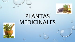 PLANTAS
MEDICINALES
 