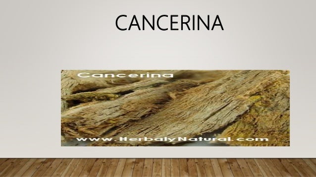 Cancerina Para Que Sirve Y Como Se Prepara Plantas Medicinales