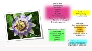 ¿Qué nutrientes le aporta al cuerpo?
-vitamina A
-vitamina B2 y B3
-vitamina C
-hierro
-potasio
¿ Para que se usa?
Dismenorrea
Insomnio
Nervios
Estrés
Migraña
Dolor muscular
Favorece la relajación
Reduce el colesterol
Enuresis nocturna
Modo de Uso:
Con las flores secas
se elaborar una
infusión.
Se pueden
consumir hasta 3
tazas al día
Propiedades:
Calmantes y
tranquilizantes
Contraindicaciones:
Mujeres embarazadas y
en periodo de lactancia
 