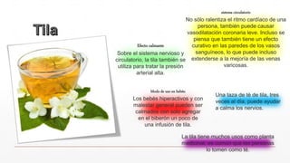 sistema circulatorio
No sólo ralentiza el ritmo cardíaco de una
persona, también puede causar
vasodilatación coronaria leve. Incluso se
piensa que también tiene un efecto
curativo en las paredes de los vasos
sanguíneos, lo que puede incluso
extenderse a la mejoría de las venas
varicosas.
Efecto calmante
Sobre el sistema nervioso y
circulatorio, la tila también se
utiliza para tratar la presión
arterial alta.
Modo de uso en bebés:
Los bebés hiperactivos y con
malestar general pueden ser
calmados con solo agregar
en el biberón un poco de
una infusión de tila.
La tila tiene muchos usos como planta
medicinal, es común que las personas
lo tomen como té.
Una taza de té de tila, tres
veces al día, puede ayudar
a calma los nervios.
 