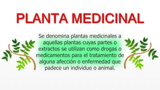 Se denomina plantas medicinales a
aquellas plantas cuyas partes o
extractos se utilizan como drogas o
medicamentos para el tratamiento de
alguna afección o enfermedad que
padece un individuo o animal.
 