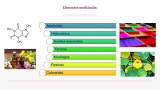 Elementos medicinales:
Alcaloides
Heterosidos
Aceites esenciales
Taninos
Mucilagos
Resinas
Colorantes
 
