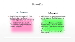 ▪ Son las sustancias debido a las
cuales se debe el efecto
farmacológico de un medicamento.
▪ Los medicamentos derivados de
plantas medicinales se llaman
“drogas vegetales”
▪ Se obtienen de plantas medicinales
que se pueden clasificar según su
origen.
▪ Especies autóctonas, también
denominadas indígenas: que son
originarias o propias de una zona,
región o país.
▪ Especies alóctonas: son propias de
otras zonas
 