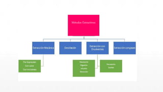 Métodos Extractivos:
k
 