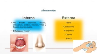 • Via bucal: esencias, fluidos,
infusiones, jarabes, tinturas, vinos y
licores, zumos, jugos.
• Inhaladas: (vapor)
*Baño
*Cataplasma
*Compresa
*Crema
*Pasta
 