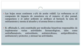  Las hojas secas contienen 1-2% de aceite volátil. La verbenona es el
compuesto de impacto de caracteres en el romero; el olor punsal,
camparáceo y el sabor ardiente se atribuye al borneol; la nota de
enfriamiento y menta al alcanfor y el aroma fresco a cineole.
 R. officinalis L. está constituido por moléculas bioactivas responsables de
implementar varias actividades farmacológicas, tales como
antiinflamatorio, antioxidante, antimicrobiano, antiproliferativo,
antitumoral y protector, y atenuar las actividades.
 