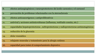 8. efectos antiangiogénicos y neuroprotectores del ácido carnosico y el carnosol
9. prevención de problemas relacionados con la aterosclerosis
10. efectos anticancerígenos y antiproliferativos
11. antiviral y acciones antimicrobianas (influenza, resfriado común, etc.)
12. capacidades hepatoprotectoras , nefroprotectoras y radioprotectoras-antimutagénicas
13. reducción de la glucemia
14. dolor reumático
15. relajante muscular y tratamiento para la alergia cutánea
16. capacidad para tratar el comportamiento depresivo
 