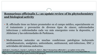 Rosmarinus officinalis L.: an update review of its phytochemistry
and biological activity
 R. officinalis tiene un futuro prometedor en el campo médico, especialmente en
el tratamiento y prevención de diversos tipos de cáncer, enfermedades
infecciosas y enfermedades cada vez más emergentes como la depresión, el
Alzheimer y las enfermedades de Parkinson.
 Medicamentos naturales en muchas condiciones patológicas incluyendo
antiinflamatorio, analgésico, antioxidante, antitumoral, anti-infeccioso, SNC y
actividades del sistema endocrino.
Andrade J., Faustino C., Garcia C., Ladeiras D., Reis C., Rijo P. Rosmarinus officinalis L.: an update review of its
phytochemistry and biological activity. Future Science OA. [Internet]. 2018. doi: 10.4155/fsoa-2017-0124 Disponible en:
https://www.ncbi.nlm.nih.gov/pmc/articles/PMC5905578/
 
